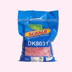 DK® 8031 - Hybrid Maize Seeds - 2Kg