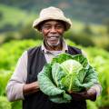 A Guide To Sustainable Farming Practices In Kenya: A Farmer’s Handbook