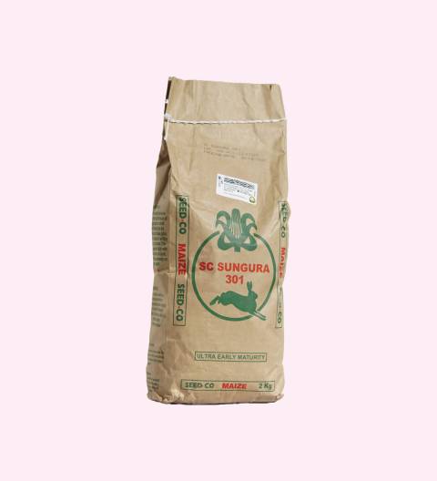 SC Sungura 301 Maize Seeds - 2Kg