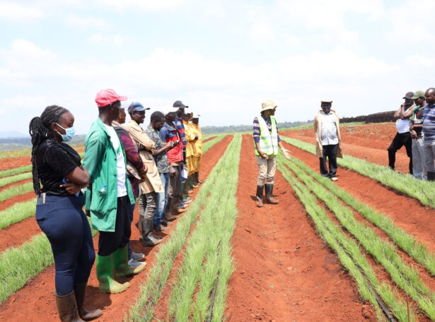 Plum Agri Irrigation - Agriculture & Irrigation 7