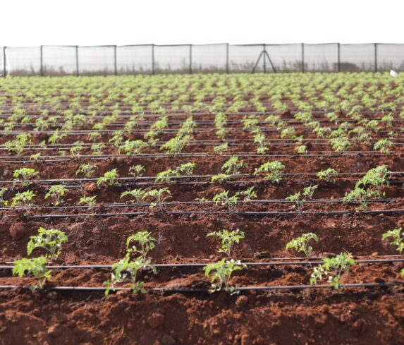 Plum Agri Irrigation - Irrigation 4 Closeup
