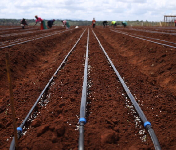 Plum Agri Irrigation - Irrigation system 12