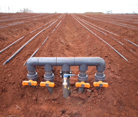 Plum Agri Irrigation - Irrigation system 13