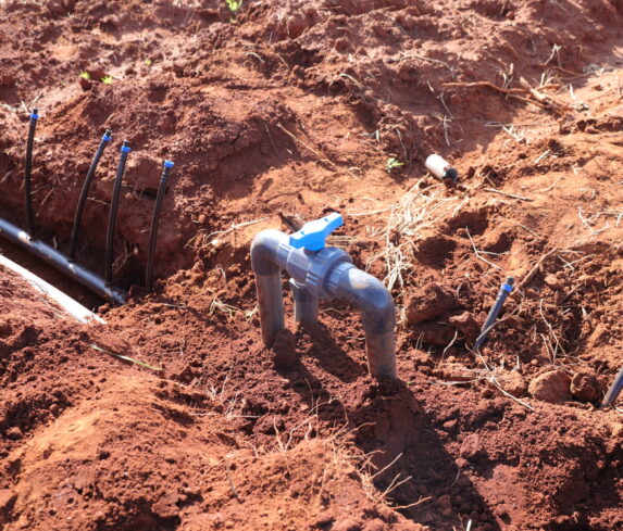 Plum Agri Irrigation - Irrigation system 17