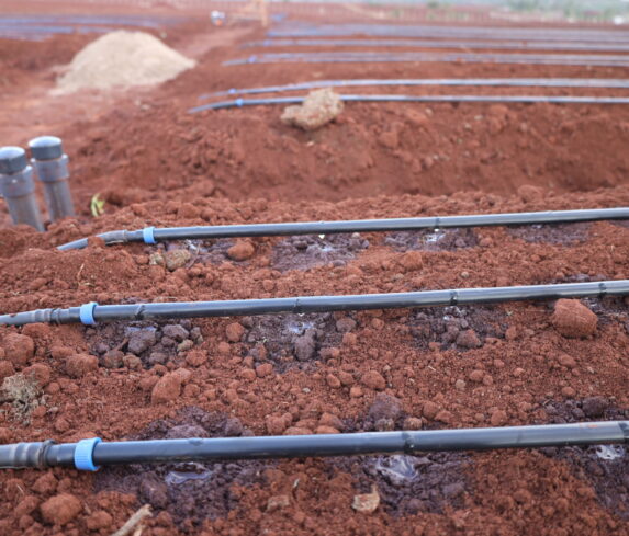 Plum Agri Irrigation - Irrigation system11