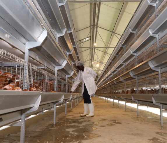 Plum Agri Irrigation - Livestock 2