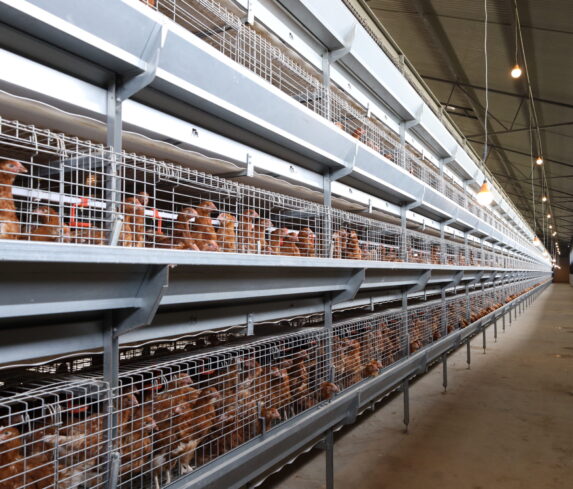 Plum Agri Irrigation - Livestock 9