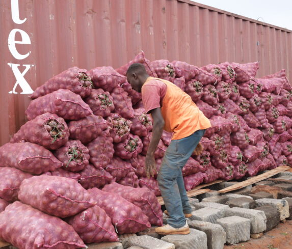 Plum Agri Irrigation - Onion harvest 6