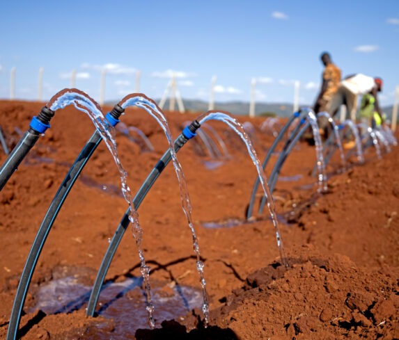 Plum Agri Irrigation - Rama Farm 12 - Plum Agri Irrigation