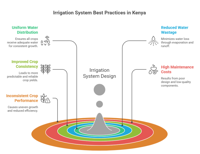 Learn the dos and don’ts of irrigation systems in Kenya. Plum Agri Irrigation explains how proper design, drip technology and professional installation improve yields and food security.