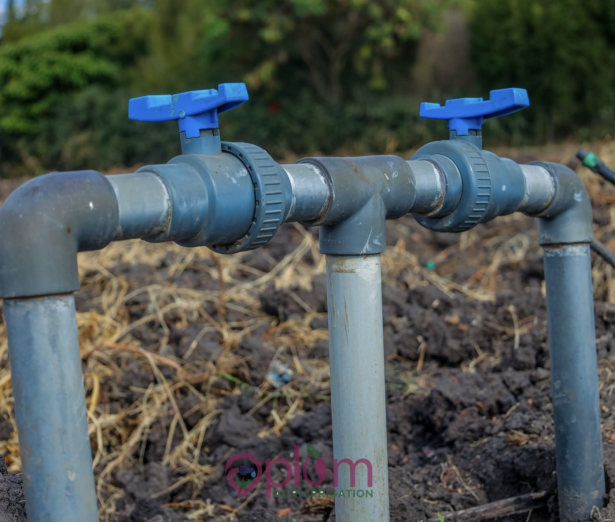 Drip irrigation for onion farming