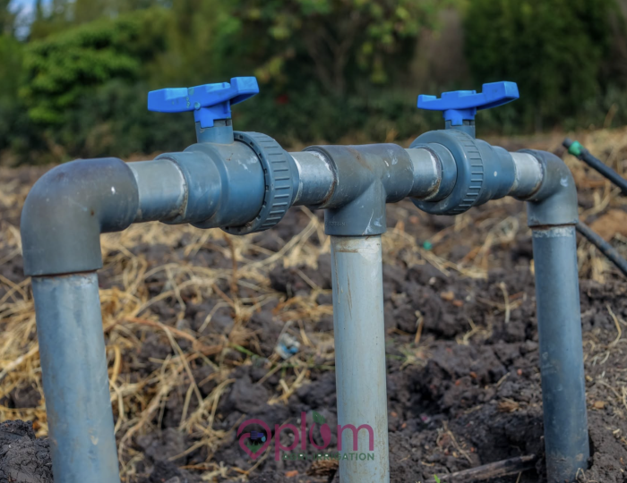 Drip irrigation for onion farming